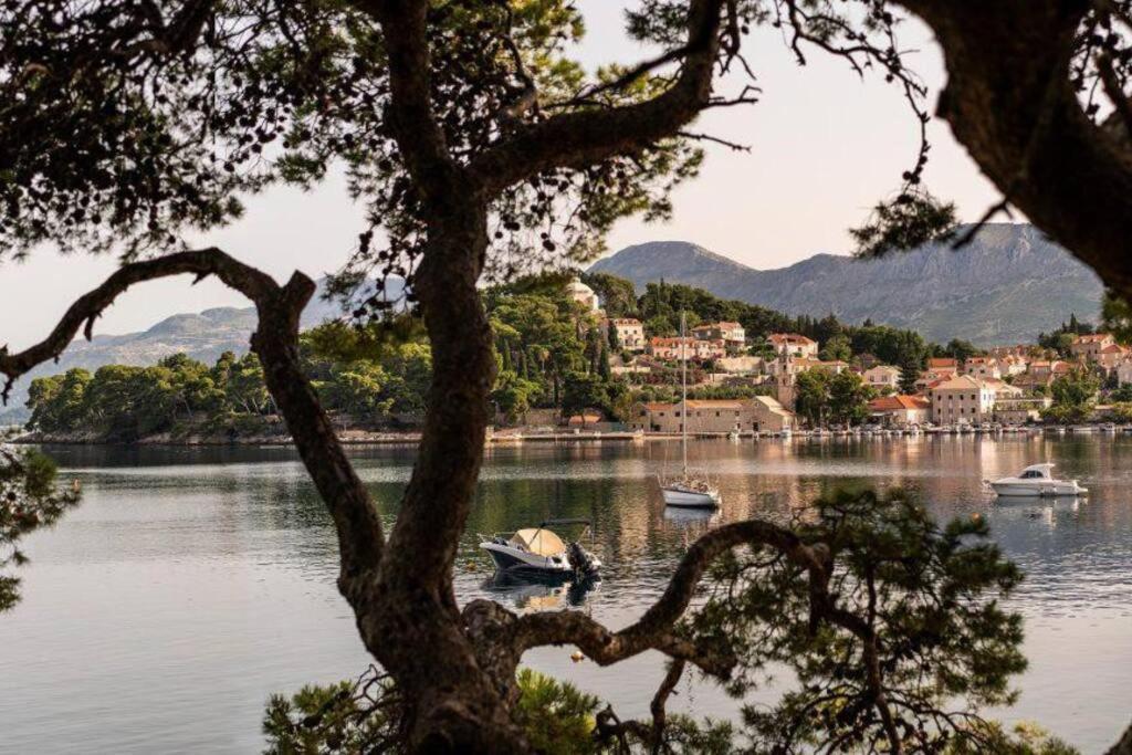 Apartment Biggy Cavtat Exteriér fotografie